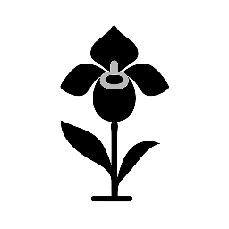 My Website